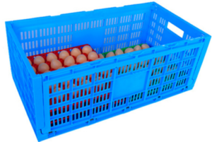 egg transport crate