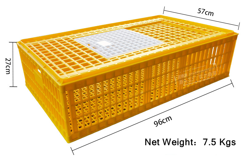 plastic chicken crates